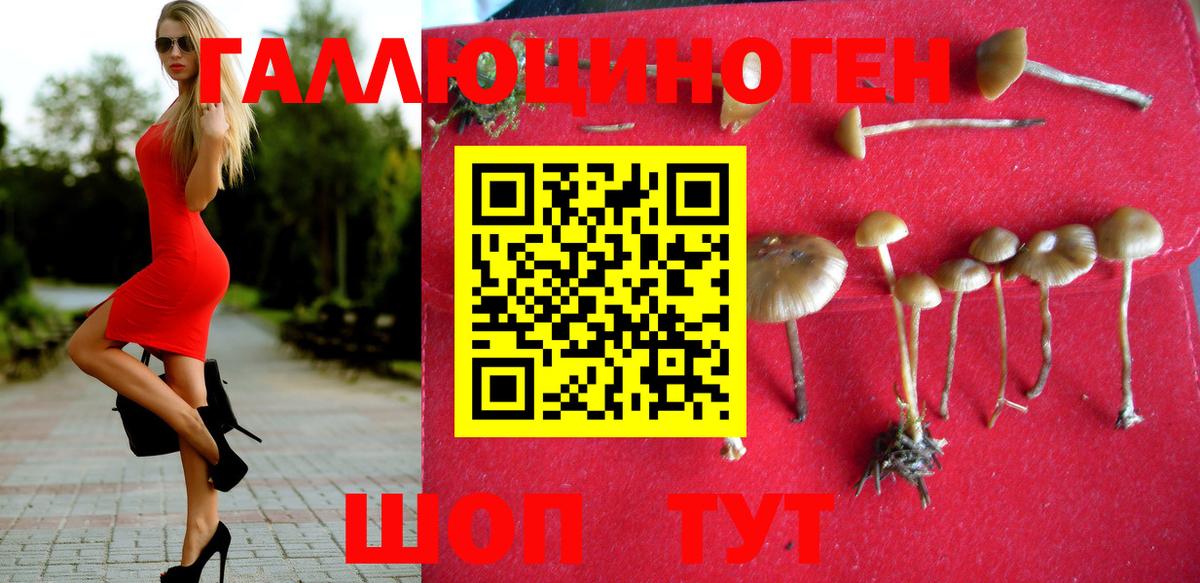 Псилоцибиновые грибы Magic Shrooms Кудымкар